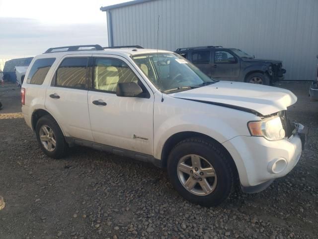 2011 Ford Escape Hybrid