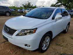 Salvage cars for sale from Copart Kapolei, HI: 2010 Lexus RX 450
