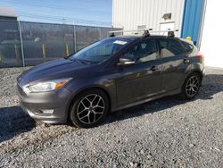 Ford Focus salvage cars for sale: 2017 Ford Focus SE