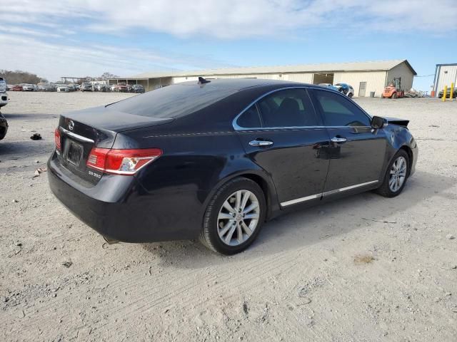 2010 Lexus ES 350