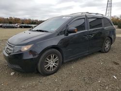 Honda Vehiculos salvage en venta: 2011 Honda Odyssey EXL