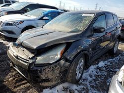 2013 Ford Escape SE en venta en Elgin, IL
