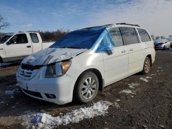 2009 Honda Odyssey EXL for sale in Des Moines, IA