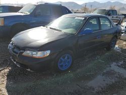 Honda salvage cars for sale: 1999 Honda Accord LX