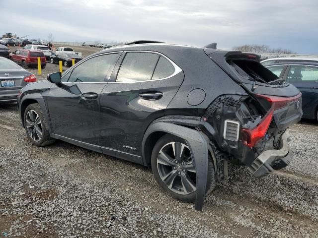 2020 Lexus UX 250H