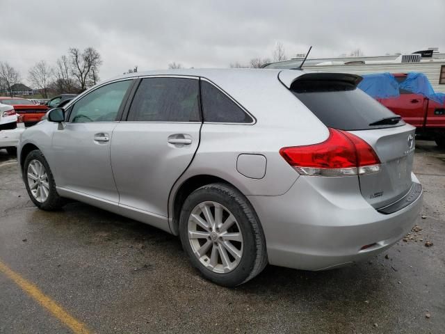 2010 Toyota Venza