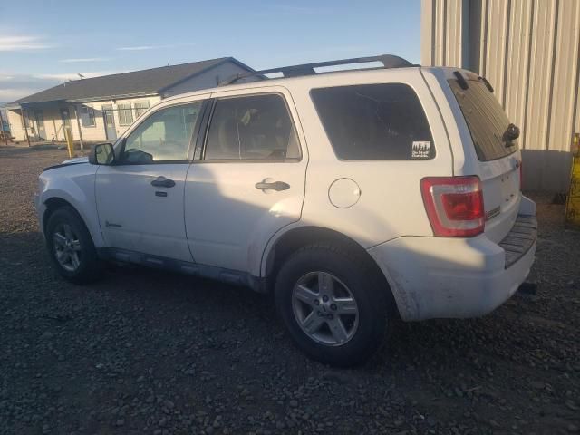 2011 Ford Escape Hybrid