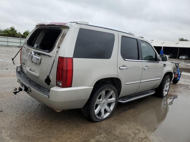 2007 Cadillac Escalade Luxury