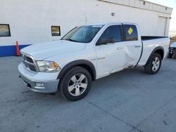 Dodge ram 1500 salvage cars for sale: 2010 Dodge RAM 1500