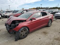 2016 Hyundai Sonata SE for sale in Indianapolis, IN