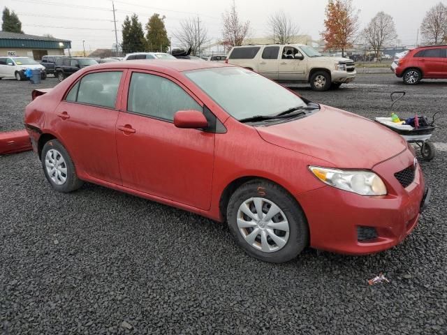 2010 Toyota Corolla Base