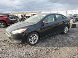 Ford salvage cars for sale: 2016 Ford Focus SE