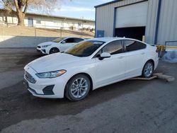 Salvage cars for sale from Copart Albuquerque, NM: 2019 Ford Fusion SE