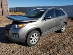 KIA Vehiculos salvage en venta: 2011 KIA Sorento Base