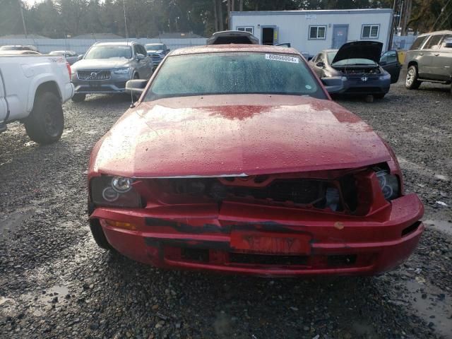 2005 Ford Mustang