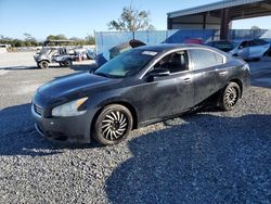 Nissan Maxima salvage cars for sale: 2014 Nissan Maxima S