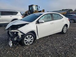 Toyota Corolla salvage cars for sale: 2014 Toyota Corolla L