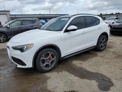 Alfa Romeo salvage cars for sale: 2022 Alfa Romeo Stelvio TI