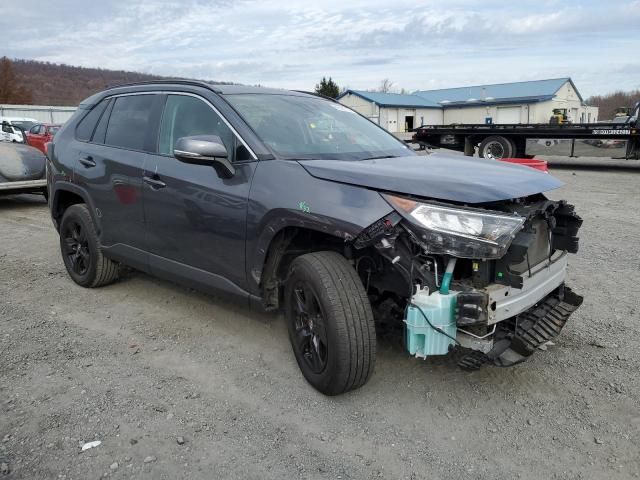 2019 Toyota Rav4 XLE