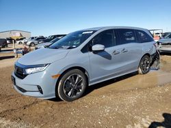 2024 Honda Odyssey Elite for sale in Amarillo, TX