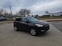 Ford Escape salvage cars for sale: 2013 Ford Escape SE