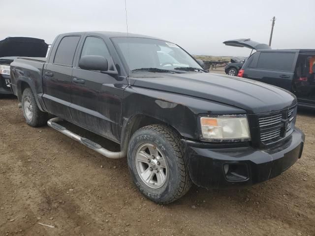 2008 Dodge Dakota SXT