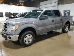 Ford f-150 salvage cars for sale: 2013 Ford F150 Supercrew