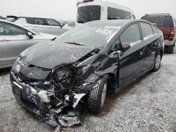 Toyota Prius salvage cars for sale: 2010 Toyota Prius