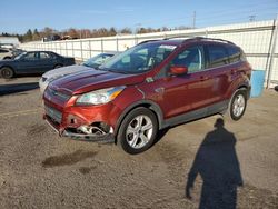 Ford Escape salvage cars for sale: 2014 Ford Escape SE