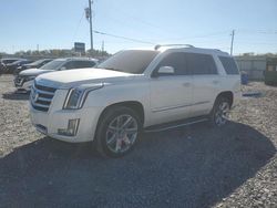 Cadillac Escalade salvage cars for sale: 2015 Cadillac Escalade Luxury