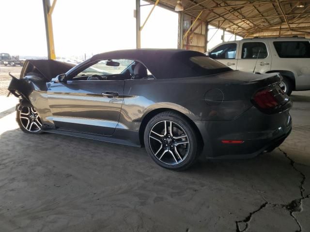 2019 Ford Mustang