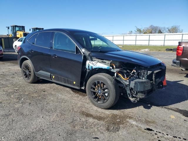 2020 Ford Escape SE Sport