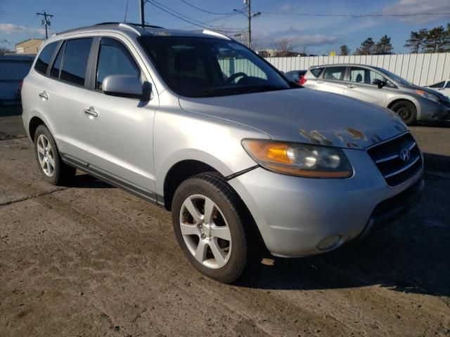 2009 Hyundai Santa FE SE