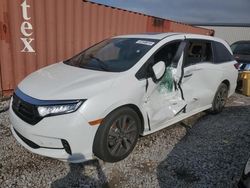 Honda Odyssey salvage cars for sale: 2023 Honda Odyssey Touring