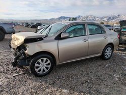 Toyota Corolla salvage cars for sale: 2010 Toyota Corolla Base