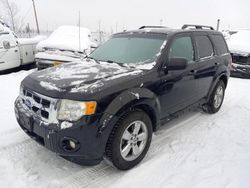 Ford Escape salvage cars for sale: 2011 Ford Escape XLT