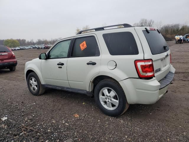 2009 Ford Escape XLT