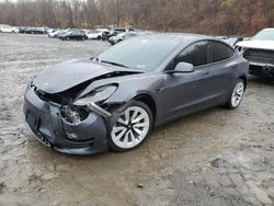 2023 Tesla Model 3 for sale in Marlboro, NY