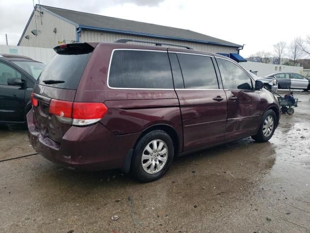 2010 Honda Odyssey EXL