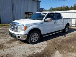 Ford f-150 salvage cars for sale: 2013 Ford F150 Supercrew