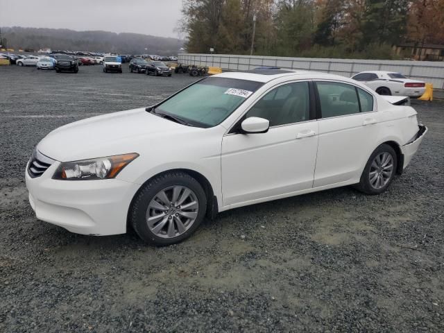 2011 Honda Accord EXL