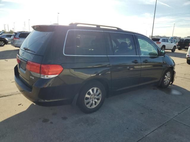 2010 Honda Odyssey EXL