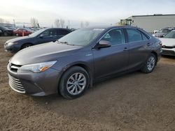 Toyota Camry salvage cars for sale: 2015 Toyota Camry Hybrid