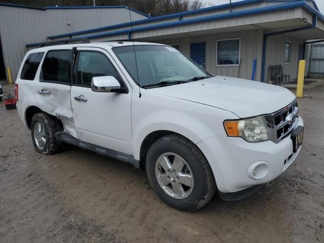 2011 Ford Escape XLT