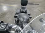 2003 Harley-Davidson Flstci