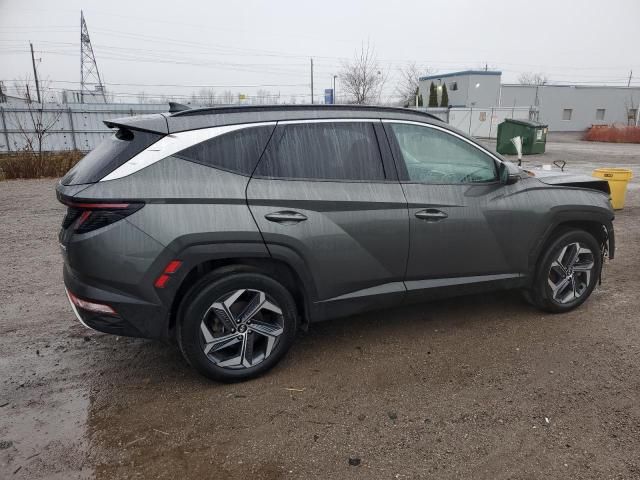 2022 Hyundai Tucson Luxury