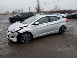 Hyundai Elantra salvage cars for sale: 2013 Hyundai Elantra GLS