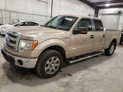 Ford f-150 salvage cars for sale: 2013 Ford F150 Supercrew