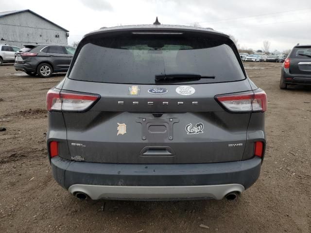 2021 Ford Escape SEL