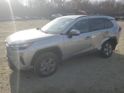 Toyota rav4 salvage cars for sale: 2024 Toyota Rav4 XLE